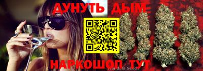 стаф Жуковский