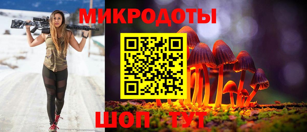 Псилоцибиновые грибы Psilocybe Краснодар